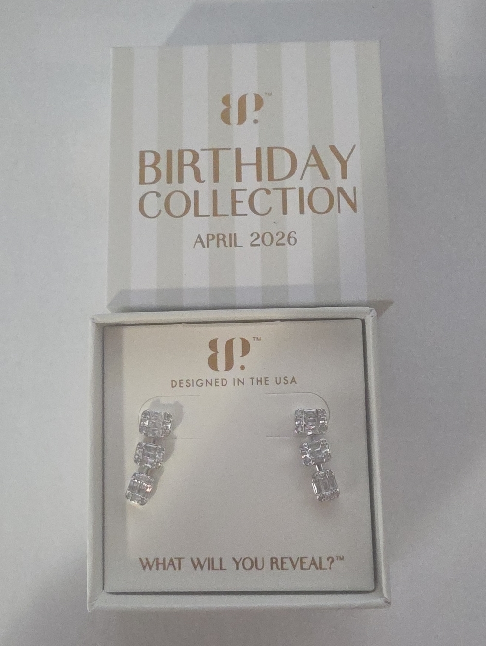 BP_April 2026 Rhodium The Elodie Lux Drop Earrings